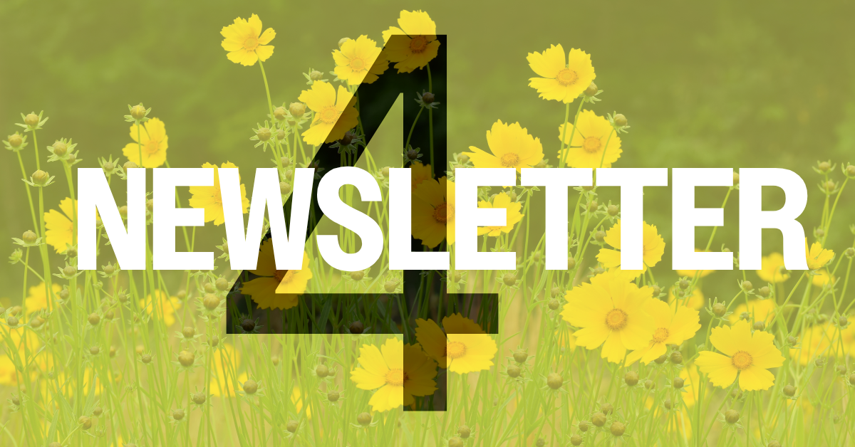 NEWSLETTER